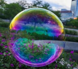 Photo bubble wall sconce